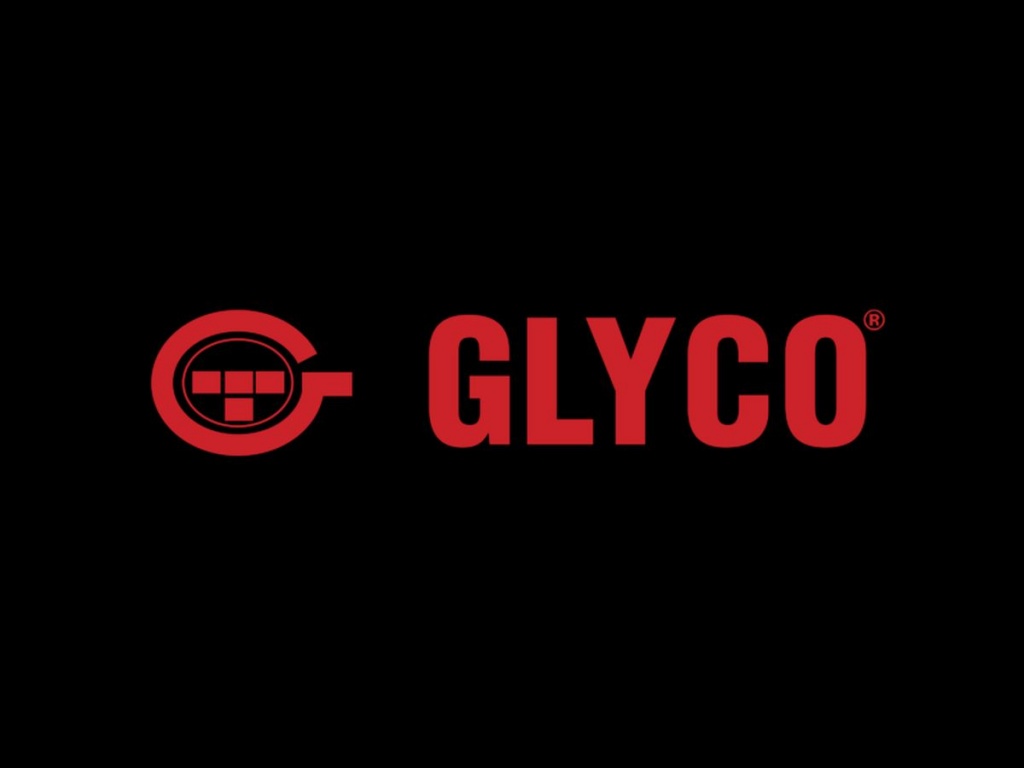 Cuzineti arbore cotit FORD FIESTA VI GLYCO H11005STD