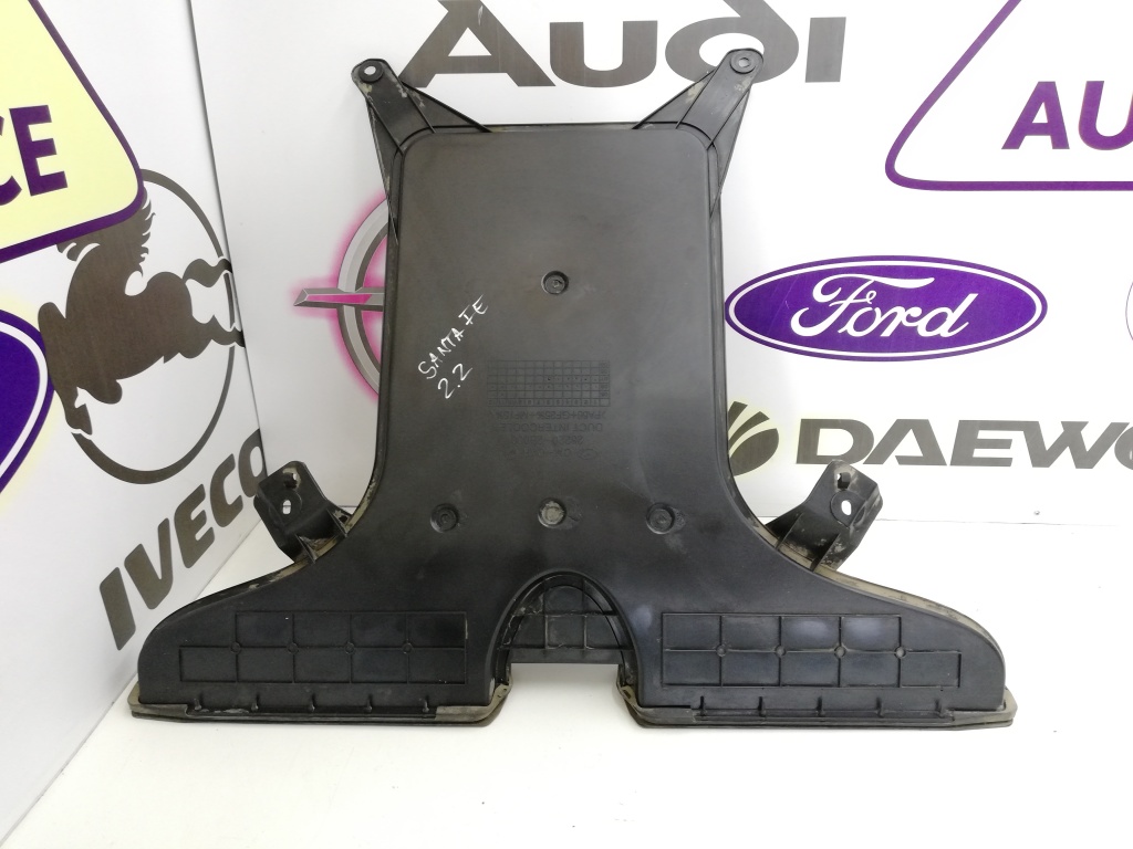 DEFLECTOR AER CAPOTA HYUNDAI SANTA FE 2006-2018 COD 282202B000