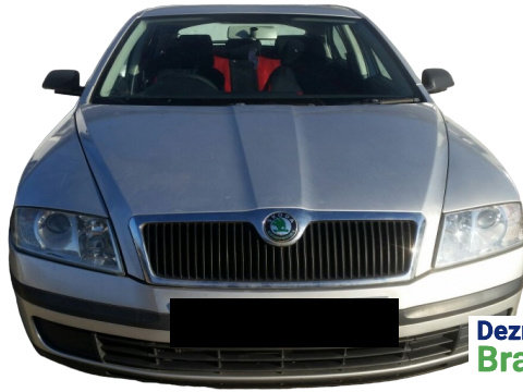 Dezmembram Skoda Octavia 2 [2004 - 2008] Liftback 5-usi 1.9 TDI MT (105 hp)