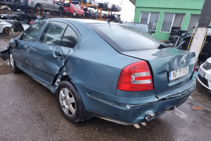 Dezmembram Skoda Octavia 2 [2004 - 2008] Liftback 5-usi 1.9 TDI DSG (105 hp) motor BXE