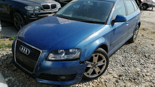 Dezmembrari Audi A3 2009 1.9 TDI BLS cut