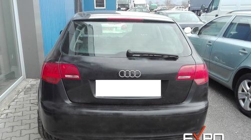 Dezmembrari Audi A3 8P