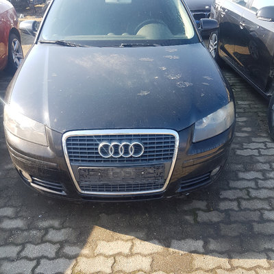 Dezmembrez Audi A3 8P 2006 Hatchback 1.9 TDI, 77 K