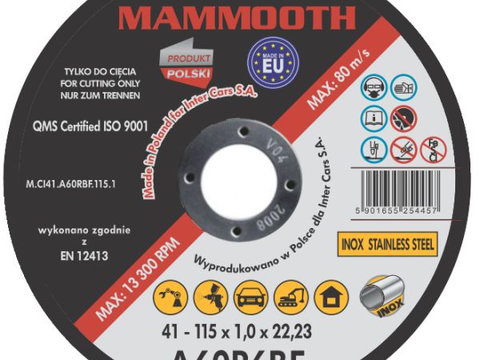 Disc Abraziv Mammooth A60R6BF 125mm M.CI41.A60RBF.115.1B