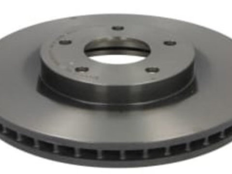 Disc frana Fata Dreapta/Stanga NISSAN QASHQAI I, SENTRA VII, X-TRAIL, RENAULT KADJAR 1.5D-2.0 d 02.07-