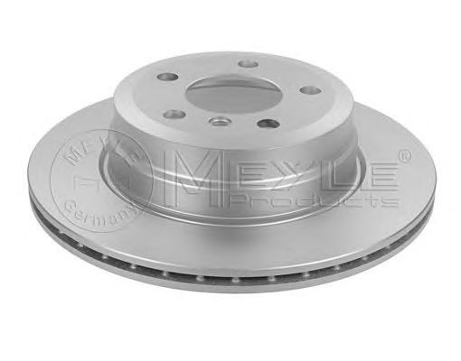 Disc frana punte spate BMW X6 (E71, E72) MAXGEAR: 19-2411