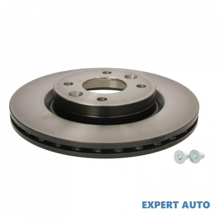 Disc frana Renault MEGANE I (BA0/1_) 1995-2004 #3 09073