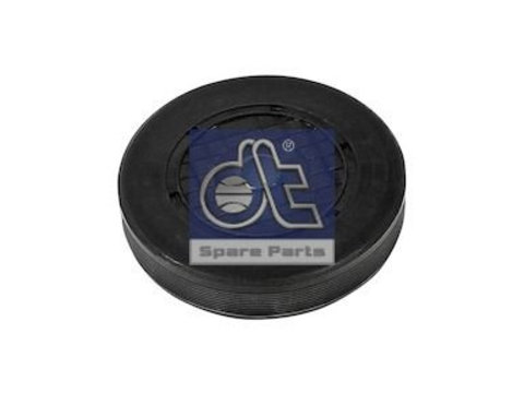 Dop gaura de montaj ax culbutori 6 22225 DT SPARE PARTS pentru Renault Master Renault Laguna Nissan Interstar Opel Vivaro Nissan Primastar