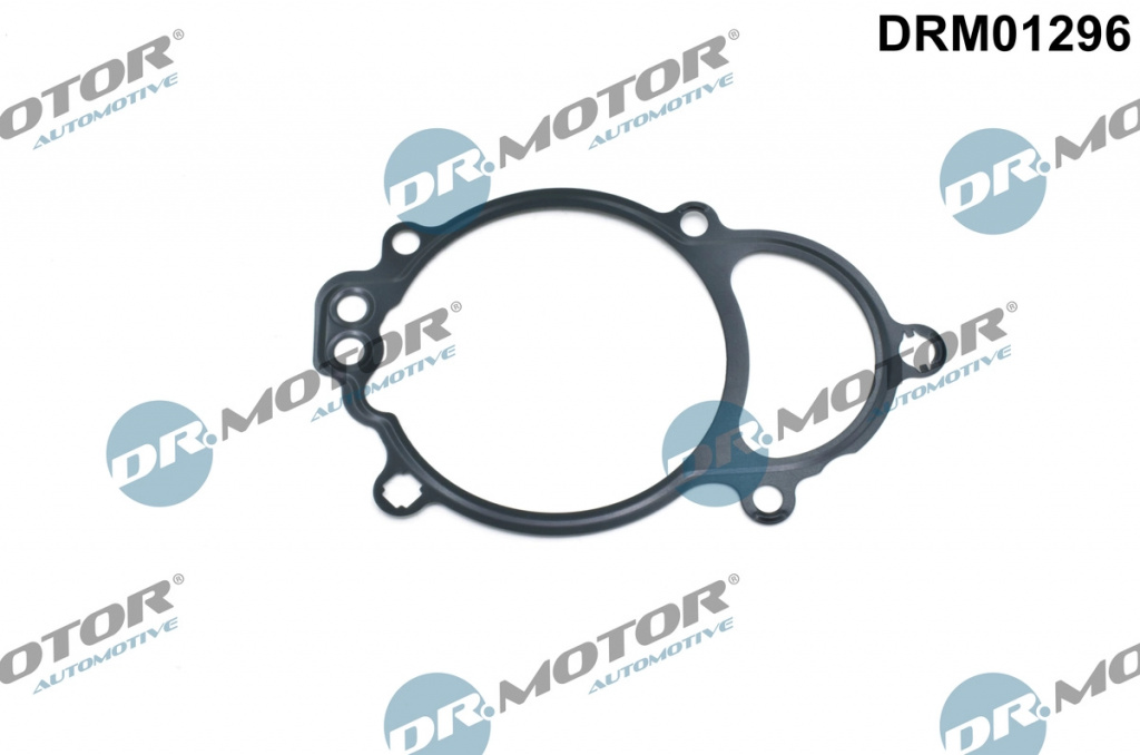 Dr.Motor Automotive Garnitura de etansare, reglare