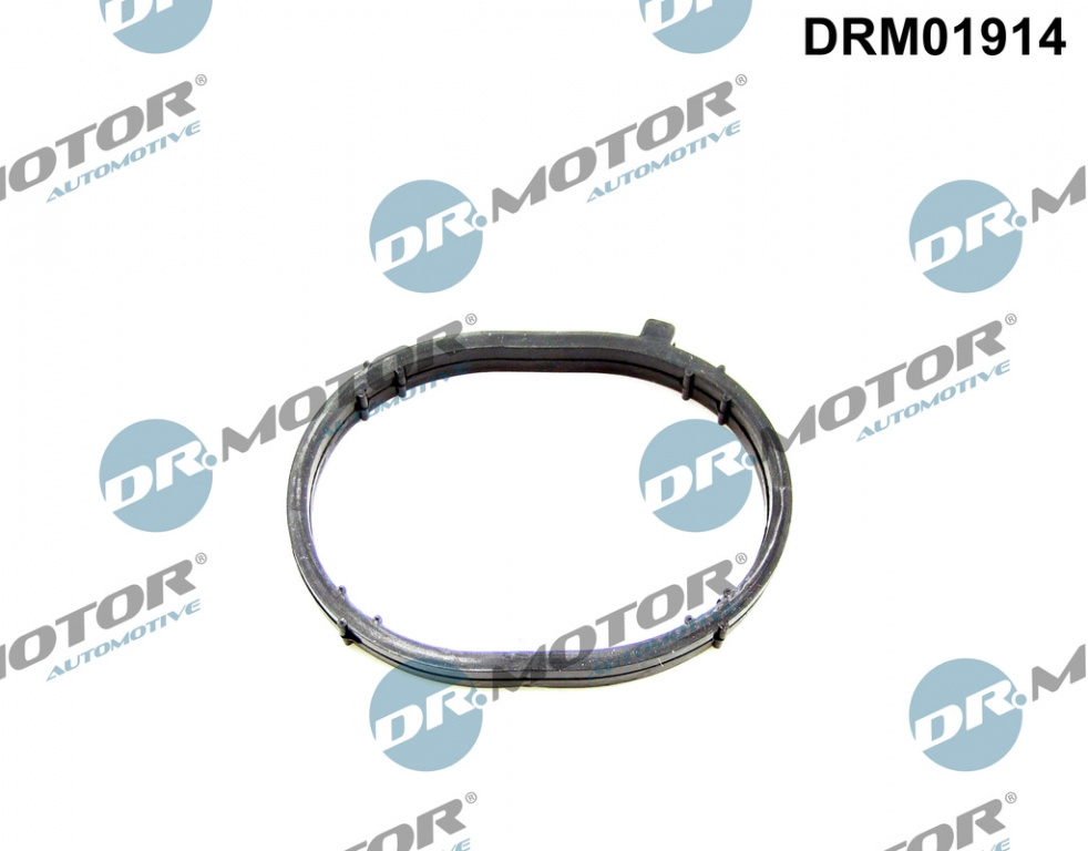 Dr.Motor Automotive Garnitura, galerie admisie DRM01914 la MITSUBISHI COLT CZC VI Cabriolet (RG) 2006 2007 2008 2009