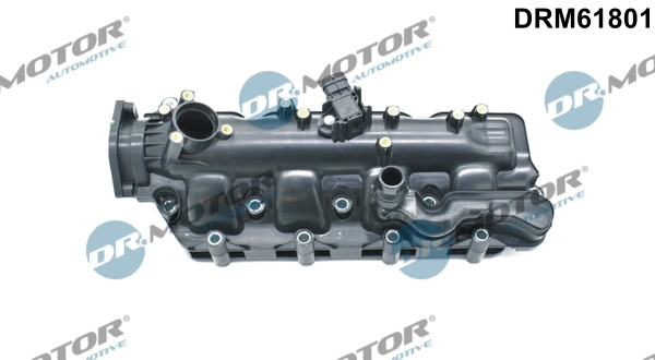 Dr.Motor Automotive Modul conducta admisie DRM61801 compatibil cu FIAT IDEA (350_) 2008 2009 2010 2011 2012 2013