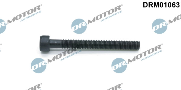 Dr.Motor Automotive Surub, suport injector DRM01063 la VW TRANSPORTER T5 bus (7HB, 7HJ, 7EB, 7EJ) 2003 2004 2005 2006 2007 2008 2009