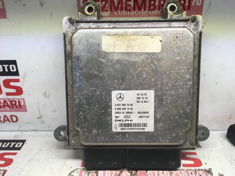 Ecu Calculator motor Mercedes W212 cod: a6519007500