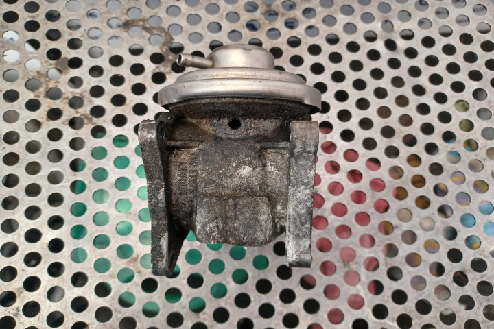 Egr 1.9 BRC Volkswagen VW Golf 4 [1997 - 2006] wagon 1.9 TDI MT (115 hp)