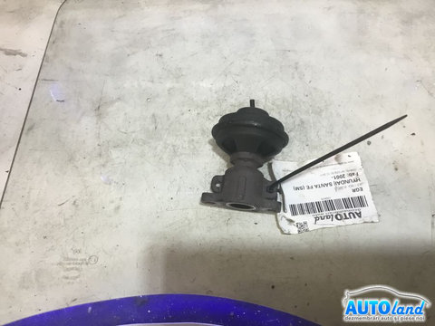 EGR 2.0 CRDI, Euro 3 Hyundai SANTA FE SM 2001