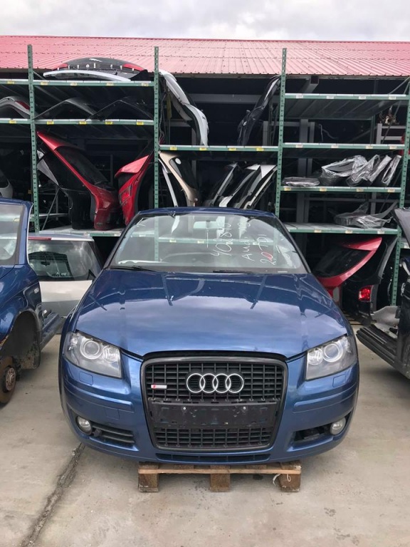 EGR Audi A3 8P 2.0 TDI BMN 2007