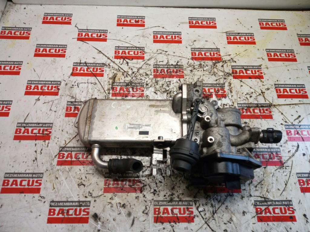 EGR Audi A4 B8 CJCA An 2012 Cod V29009967