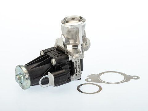 EGR FIAT PANDA (169_) 1.2 (169AXF2A, 169AXF1A) 1.2 LPG (169CXF1A) 1.3 D Multijet (169AXG1A, 169AXD1A) 1.3 JTD Multijet 4x4 (169AXG1A, 169AXG2A) 1.2 4x4 (169AXF2A, 169AXF1A) 69cp 75cp WAHLER WA710947D/1 2006 2007 2008 2009 2010 2011 2012 2013