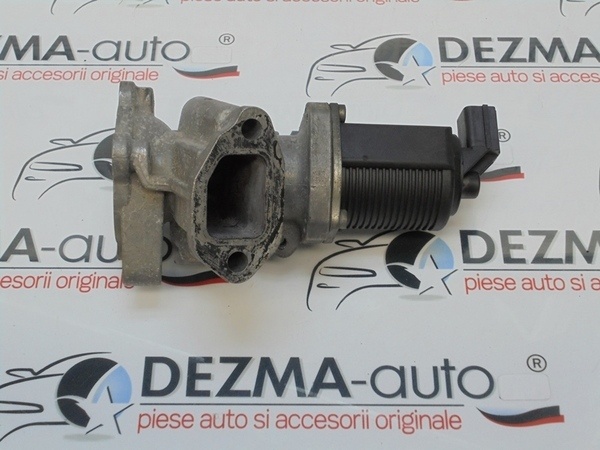 Egr GM50024007, Opel Combo Tour, 1.3cdti, Z13DT
