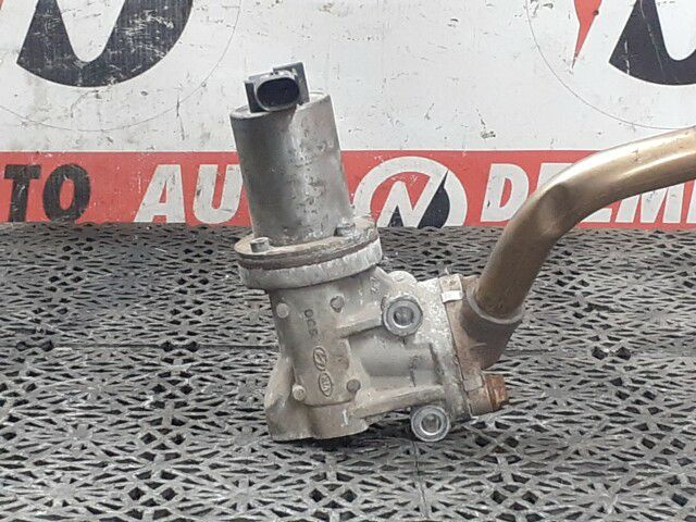 EGR HYUNDAI ACCENT III 2008 OEM:284102A120.