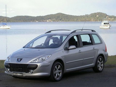 Egr peugeot 307 1.6 hdi 110 cai