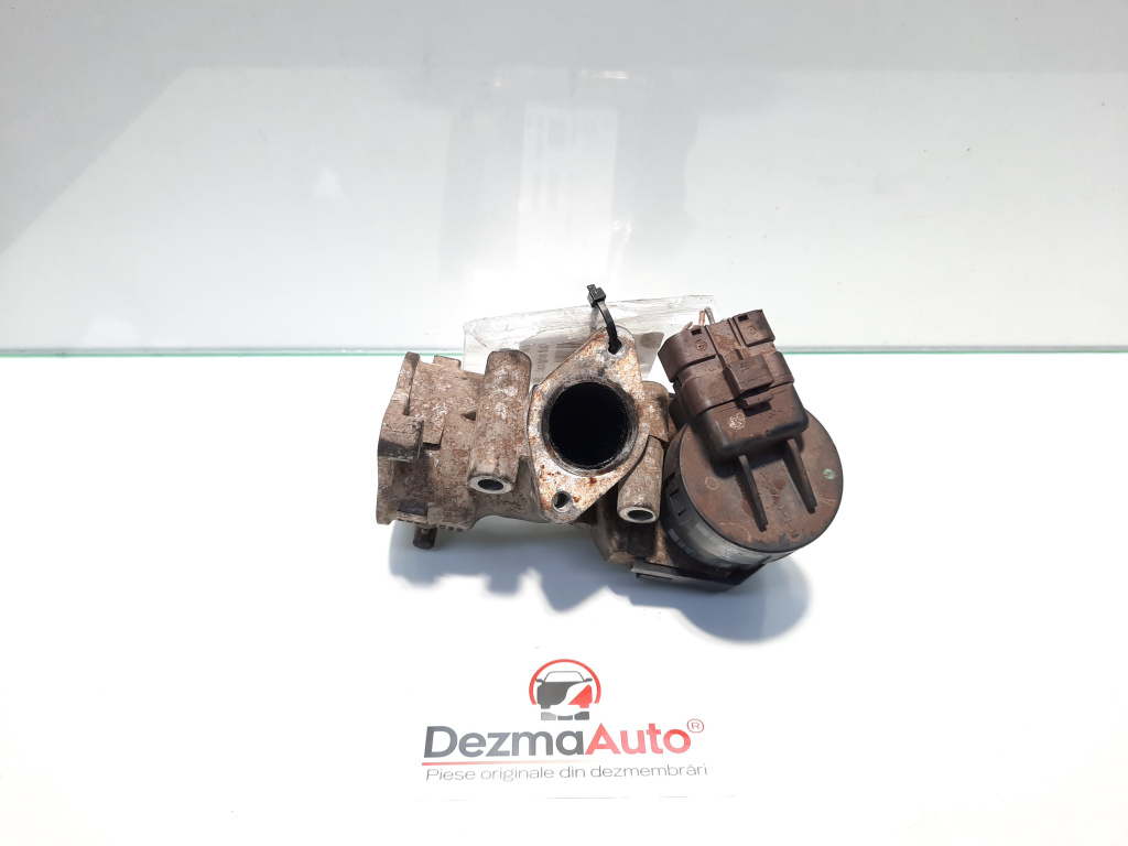 Egr, Peugeot 407 [Fabr 2004-2010] 2.0 hdi, RHR, 96