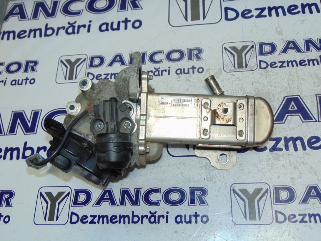 EGR+RACITOR FORD KUGA-I / 96 713 981 80