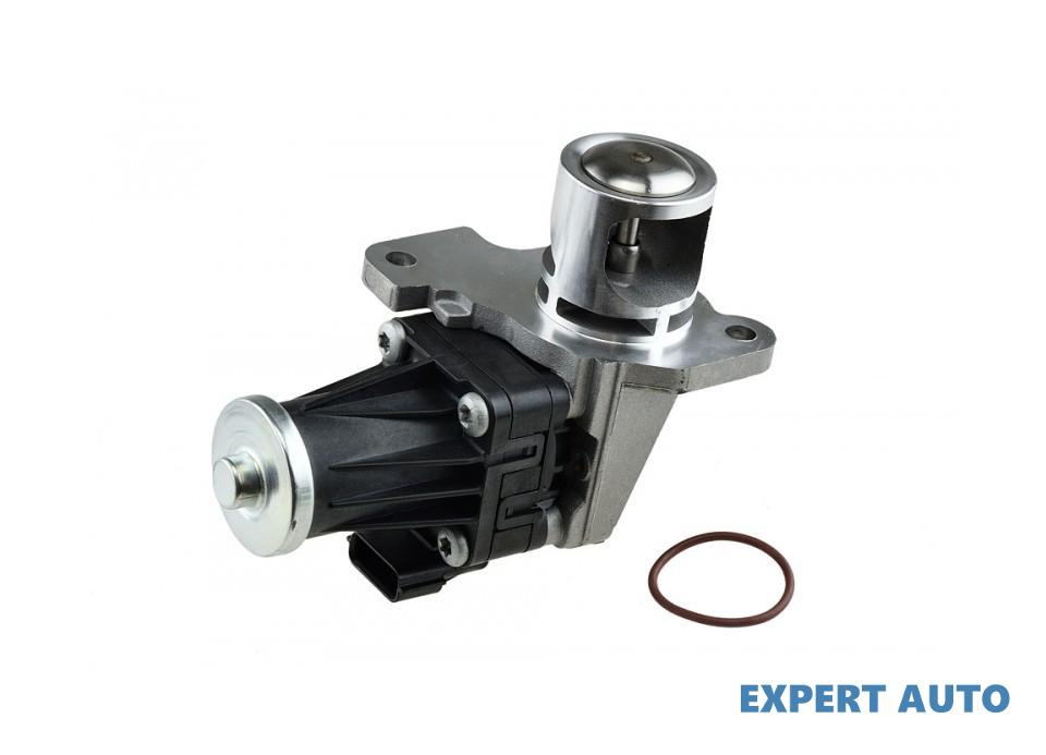 Egr Renault Megane III (2008->)[BZ0/1_,KZ0/1_,DZ0/1_] #1 8200129863