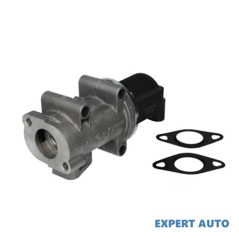 Egr Saab 9-3 Cabriolet (YS3F) 2003-2016 #2 0892039