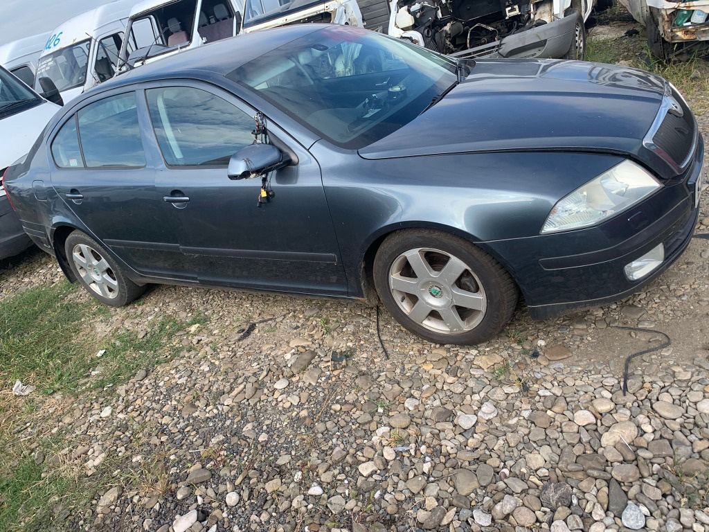 EGR Skoda Octavia 2 2004 Berlina 1.9