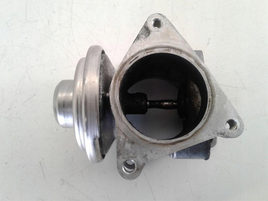 EGR Volkswagen EOS 1.9 TDI 2004 - 2009 E