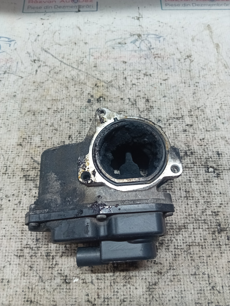 EGR Volkswagen Passat CC 2.0 2011, 03L13