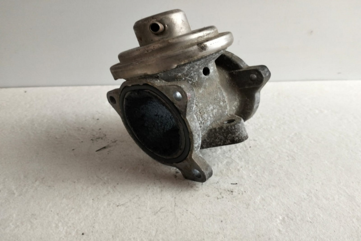 Egr Volkswagen VW Polo 4 9N [2001 - 2005] Hatchbac