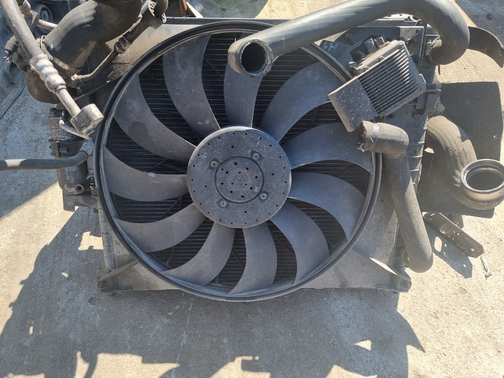 Electroventilator Mercedes ML270 W163 2.7 cdi 2004