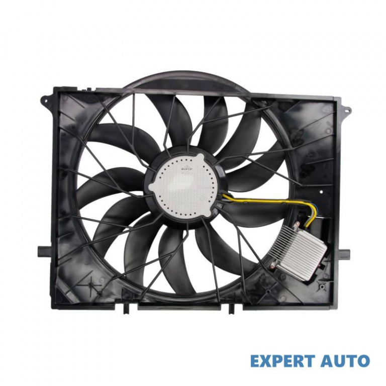 Electroventilator Mercedes S-CLASS (W220) 1998-2005 #2 05062004