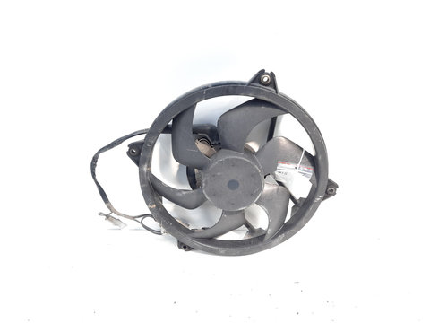 Electroventilator, Peugeot 407 SW, 1.8 benz, 6FZ (idi:609894)