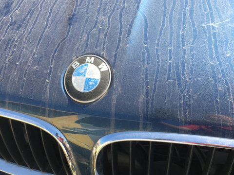Emblema capota motor BMW X5 E53 [1999 - 2003] Crossover 3.0 d AT (184 hp) M57 D30 (306D1)