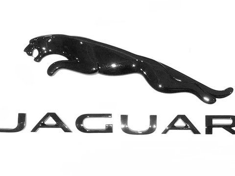 Emblema Oe Jaguar Negru T2R46540