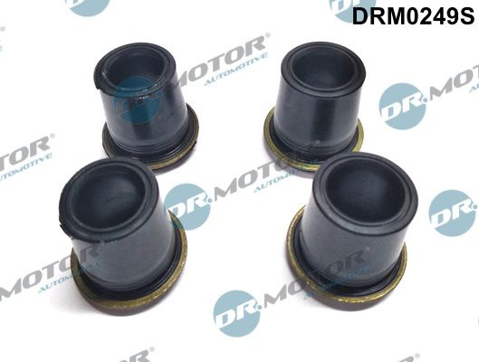 Etansare, suport injector Dr.Motor Automotive DRM0