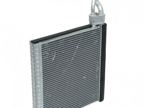 Evaporator aer conditionat Honda Accord Usa (Cp) 2012-2017, 265x275x38mm, RapidAuto 3844P8-1