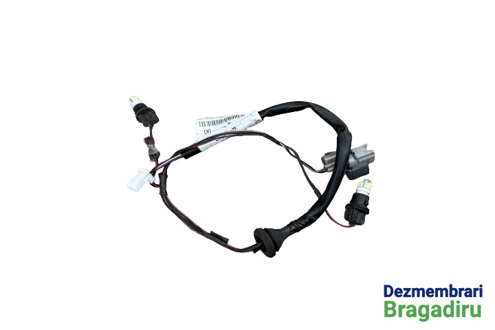 Fasung lampa numar cu instalatie si mufe Cod: 24055-JD00A Nissan Qashqai J10 [2007 - 2010] Crossover 5-usi 1.5 DCI MT FWD (106 hp)