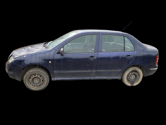 Fata usa fata dreapta Skoda Fabia 6Y [19
