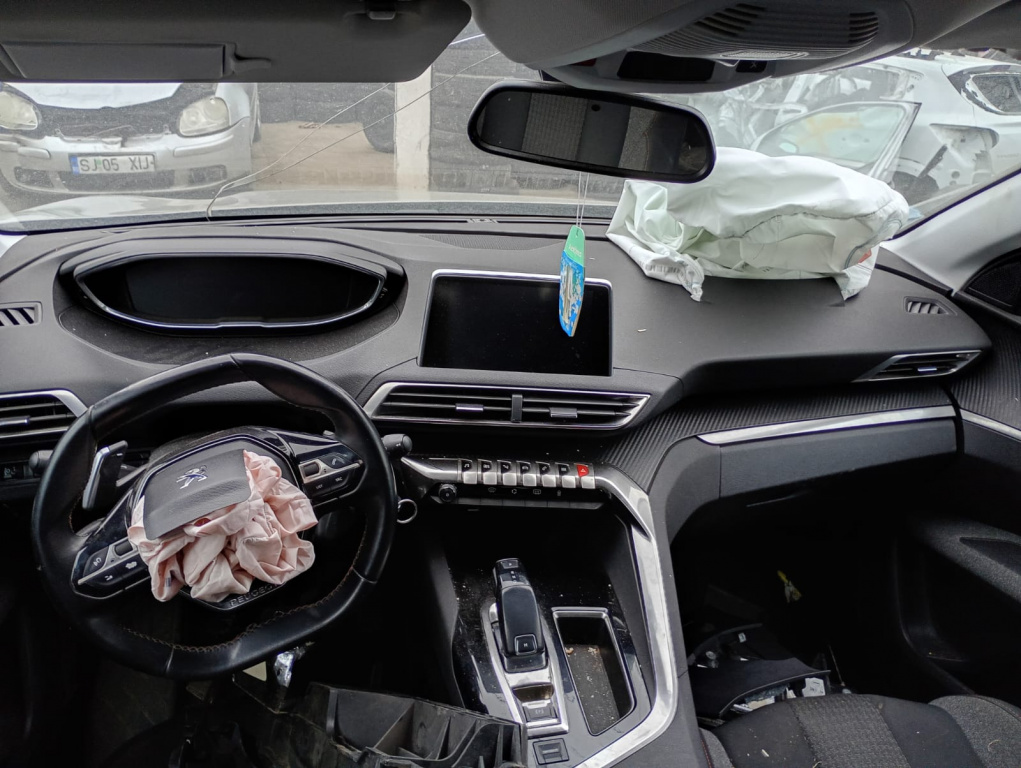 Fata usa stanga spate Peugeot 3008 2 [20