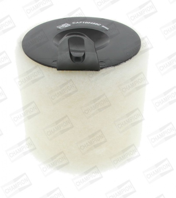 Filtru aer BMW 3 Touring E91 CHAMPION CAF100458C