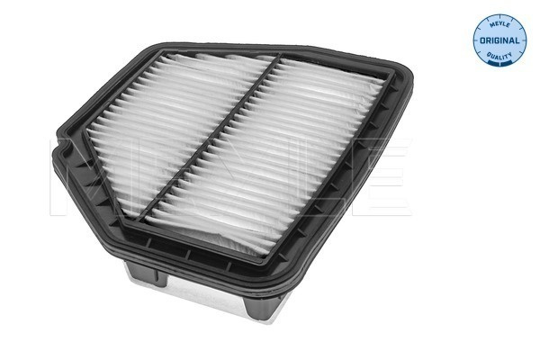 Filtru aer # Chevrolet Captiva 2006 2007 2008 2009