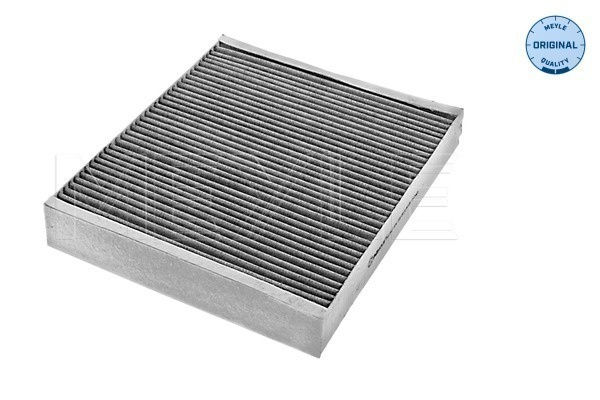 Filtru, aer habitaclu (6123200010 MEYLE) CADILLAC,CHEVROLET,OPEL,SAAB,VAUXHALL