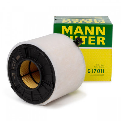Filtru Aer Mann Filter C17011