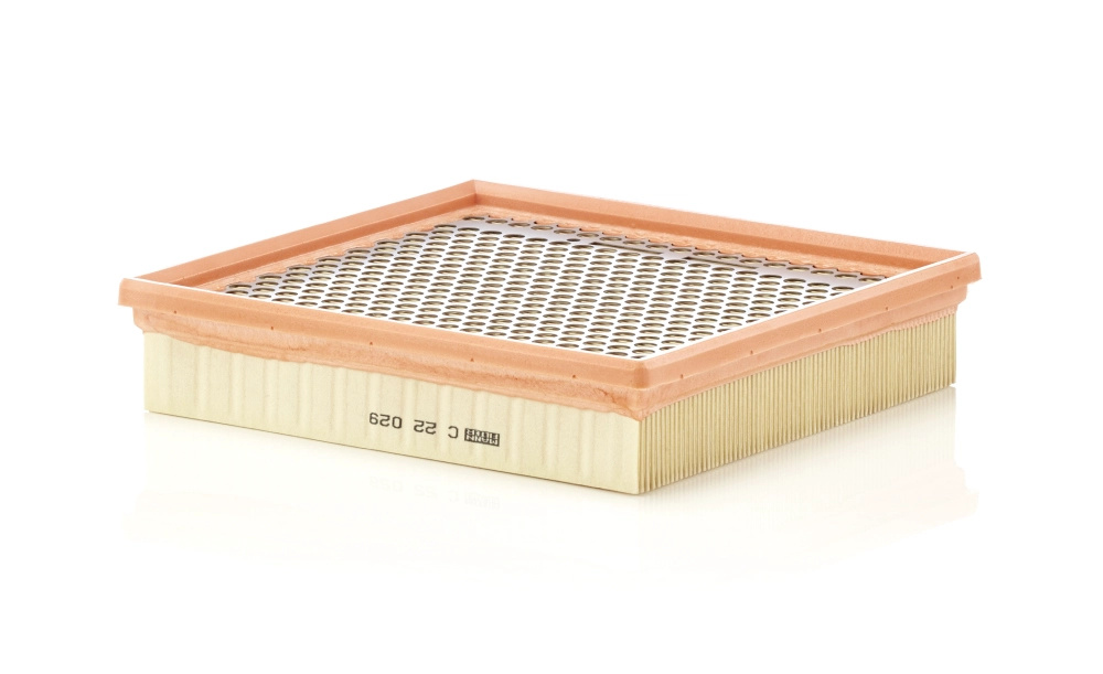 Filtru aer MANN-FILTER C22029 la masina JEEP GRAND
