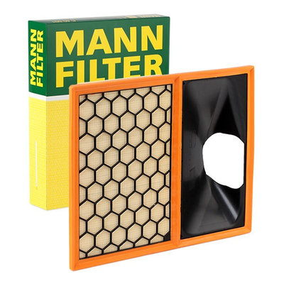 Filtru Aer Mann Filter C40002