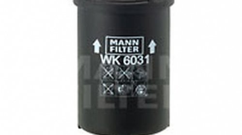 filtru combustibil CITROEN C-ELYSEE MANN